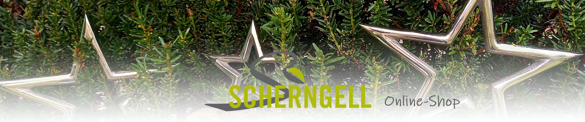 Header Onlineshop1